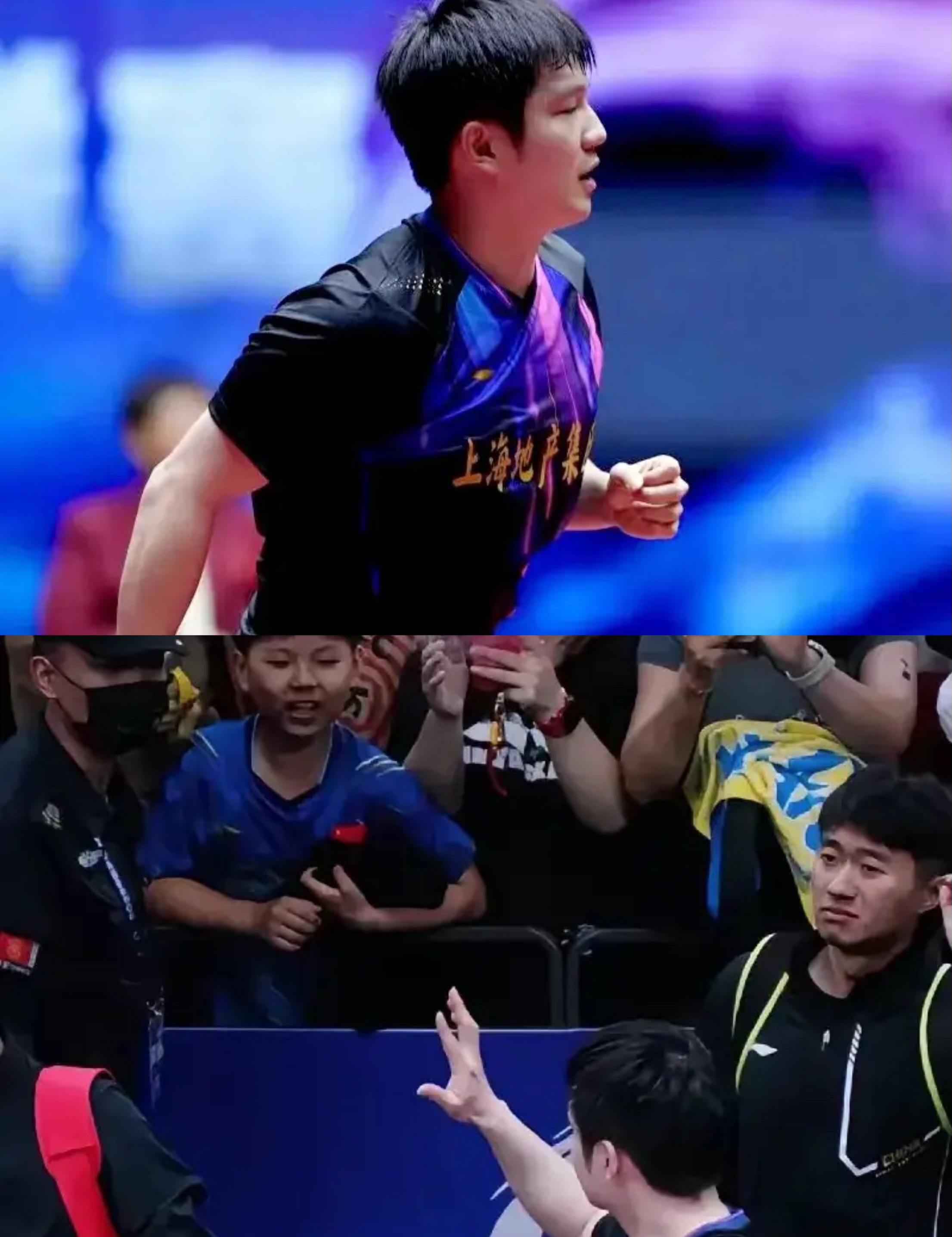 关于中国乒乓球队强势法国乒乓球队，张本智和统治全场的信息