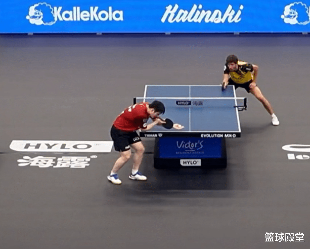 包含英格兰队碾压法国队，樊振东状态火热的词条