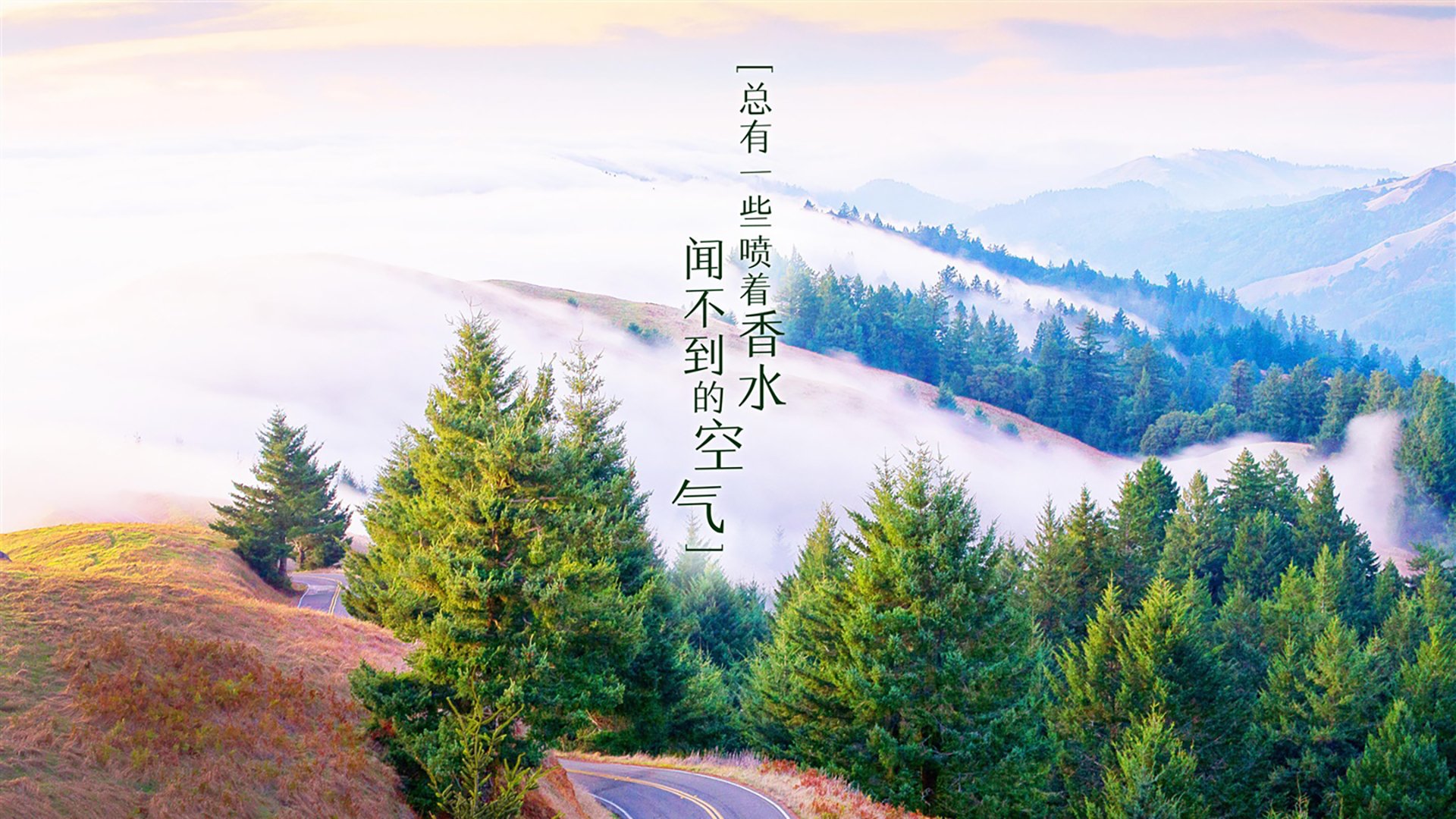ATP终极测试，为什么纳达尔的巴黎完胜比任何美网都更具含金量？
