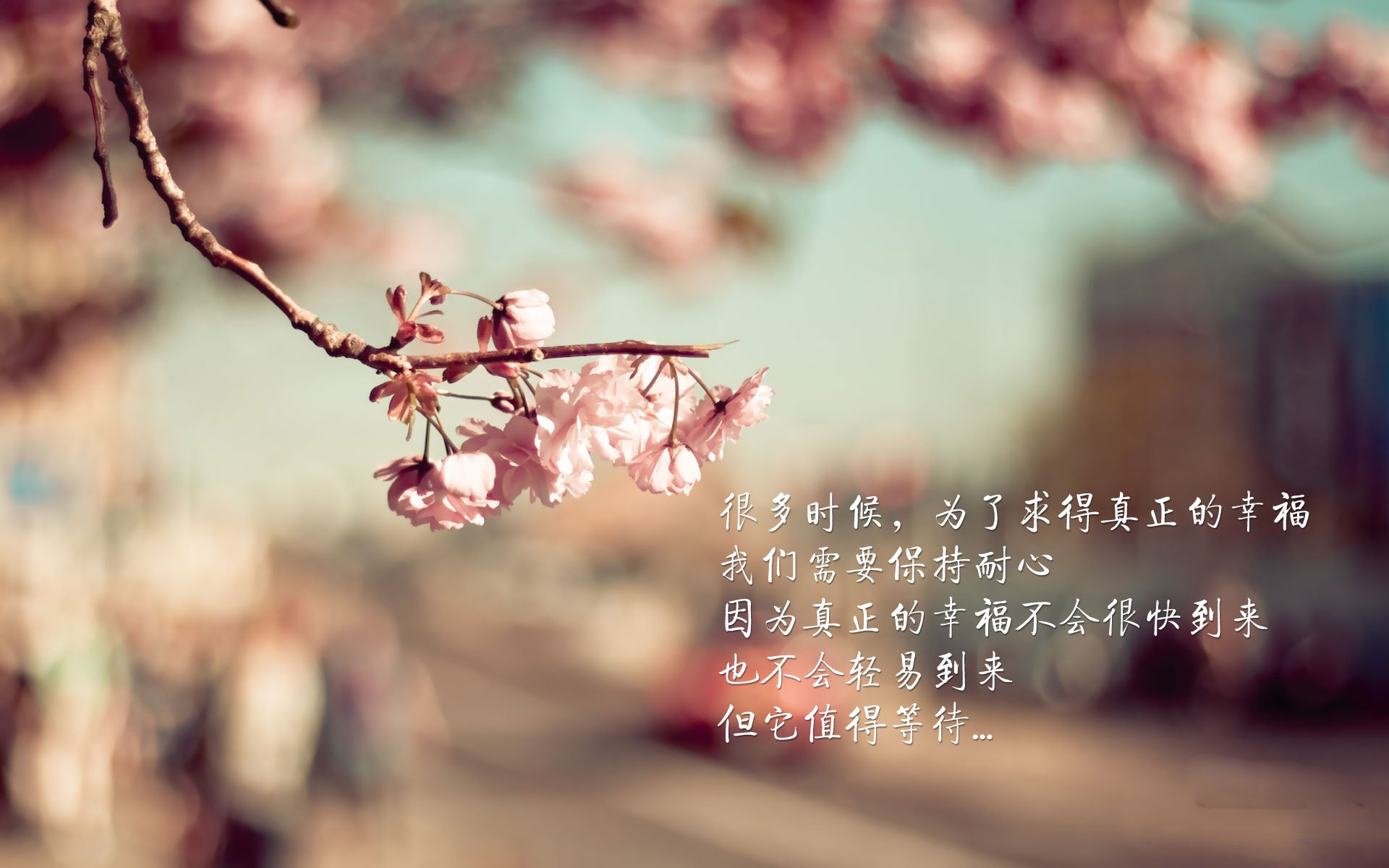 北欧风暴席卷亚洲劲旅，丹麦队战术完胜印尼，辛杜状态炽热点燃赛场