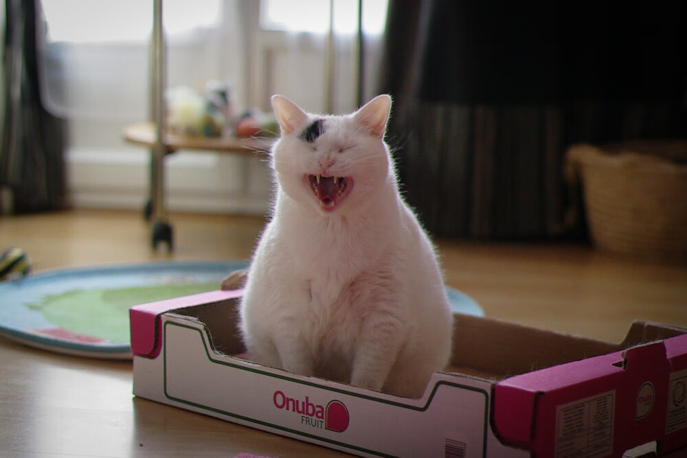 当骑士的钢铁洪流撞碎雷霆万钧—唯一先生布克铸就逆袭史诗