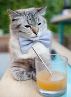 爱游戏官方-那不勒斯7号球衣的诅咒，被瑞典一记绝杀解除