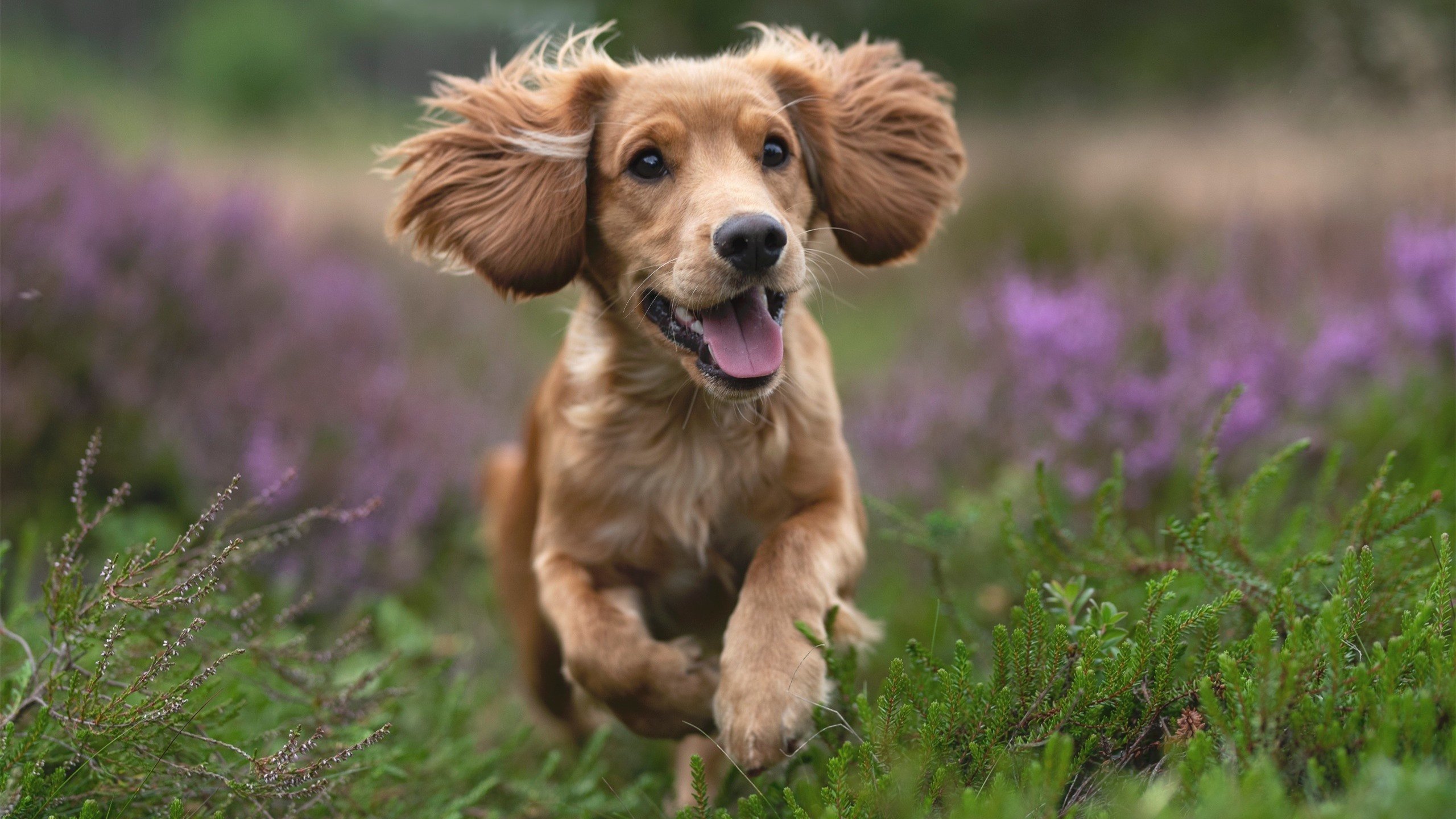 慈善赛的硝烟，当皇家社会鏖战哥伦比亚，卡塞米罗如何成为跨越阵营的关键先生