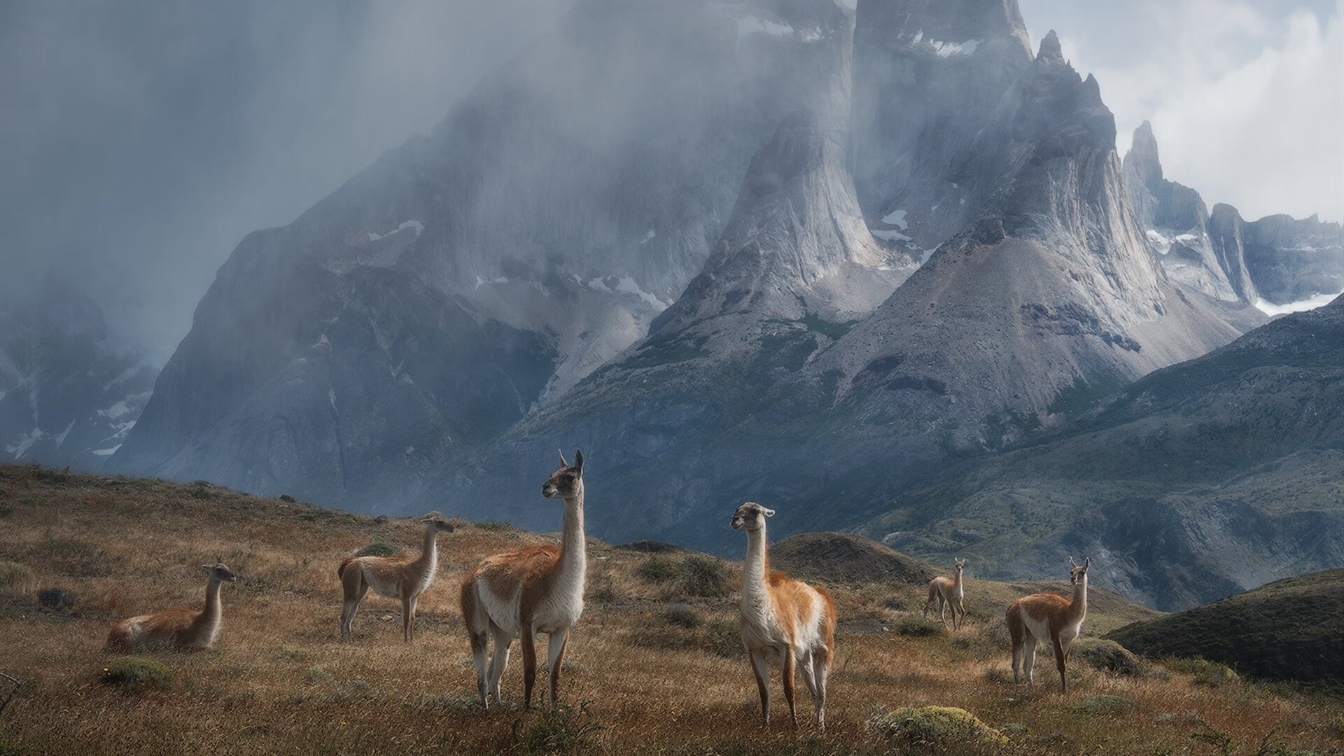 铁骑沉沙!沙特新王迪亚斯单枪匹马撕碎冰岛防线,沙海魔术师一手导演惊天逆转