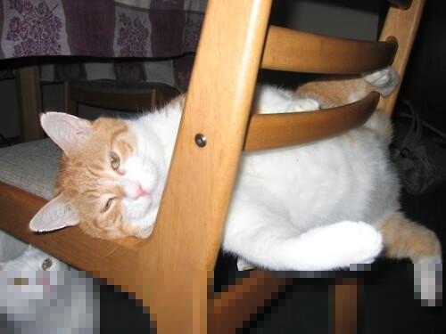 霍勒迪,马刺的手术刀,无名小卒如何成为太阳终结者?