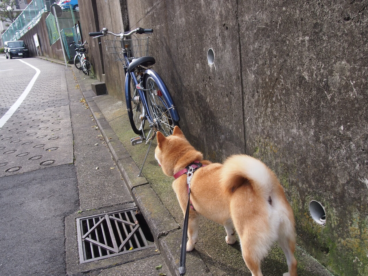黄色潜水艇击穿桑巴防线，德布劳内一锤定音的艺术