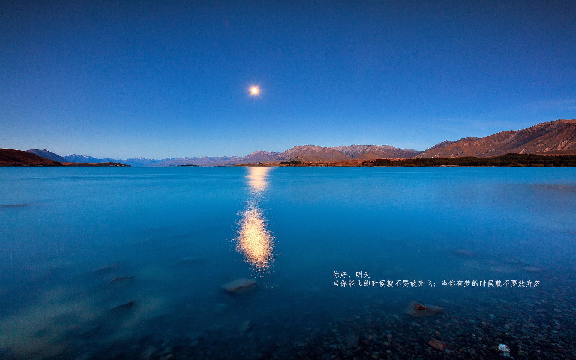 末节狂飙！上海队单节轰42分打崩吉林，浓眉王哲林一战征服打分器