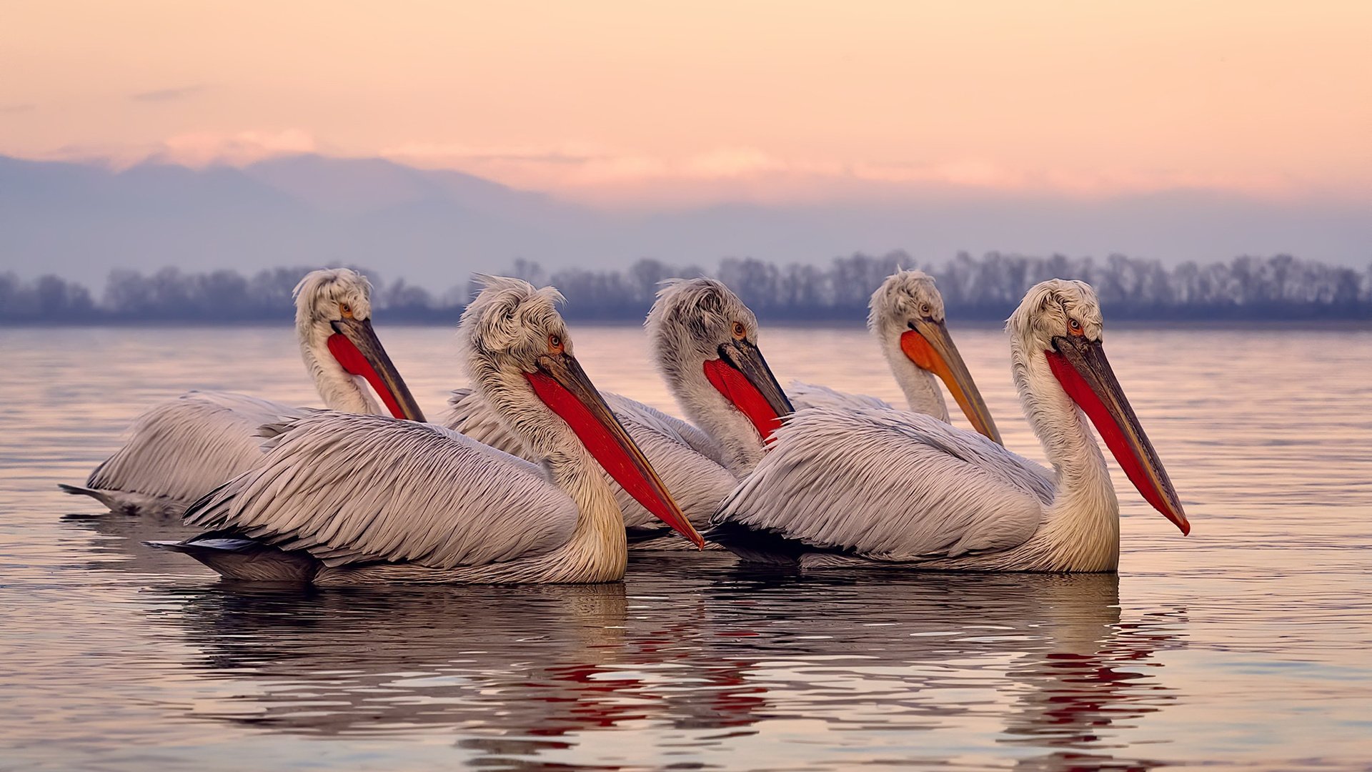 绝境英雄布鲁诺！埃及生死战逆袭南非，关键节点连斩两球定江山
