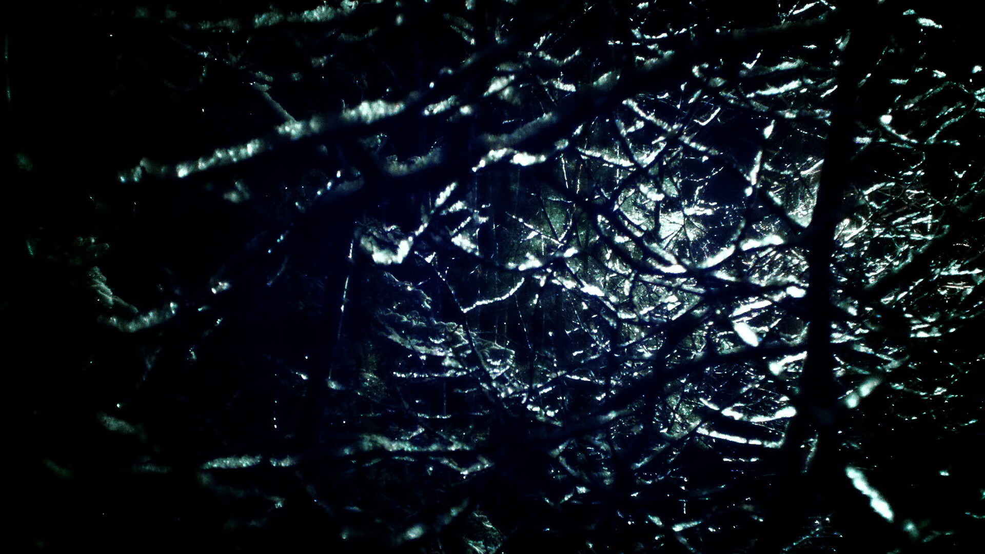 金靴哑火之夜,当卡拉斯科的节奏成为唯一的旋律