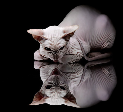 爱游戏-哈登31+15统治全场之夜，广东单节一波流击溃东方湖人 篮球世界的同频共振