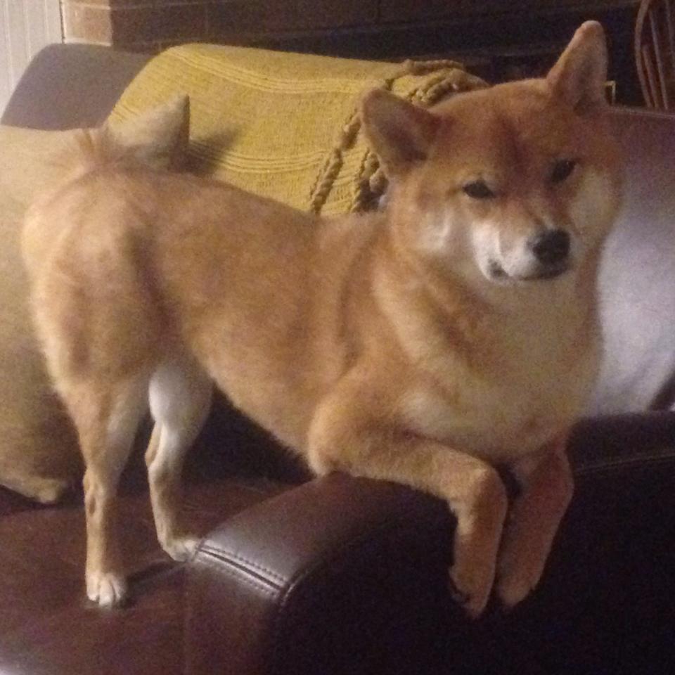 底层掀翻王座，罗德里的光焰与牙买加不可思议的加勒比风暴