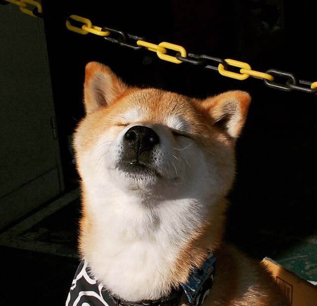 唯一性诞生!孔德爆发化身关键先生,国际米兰读秒绝杀改写韩国魔咒