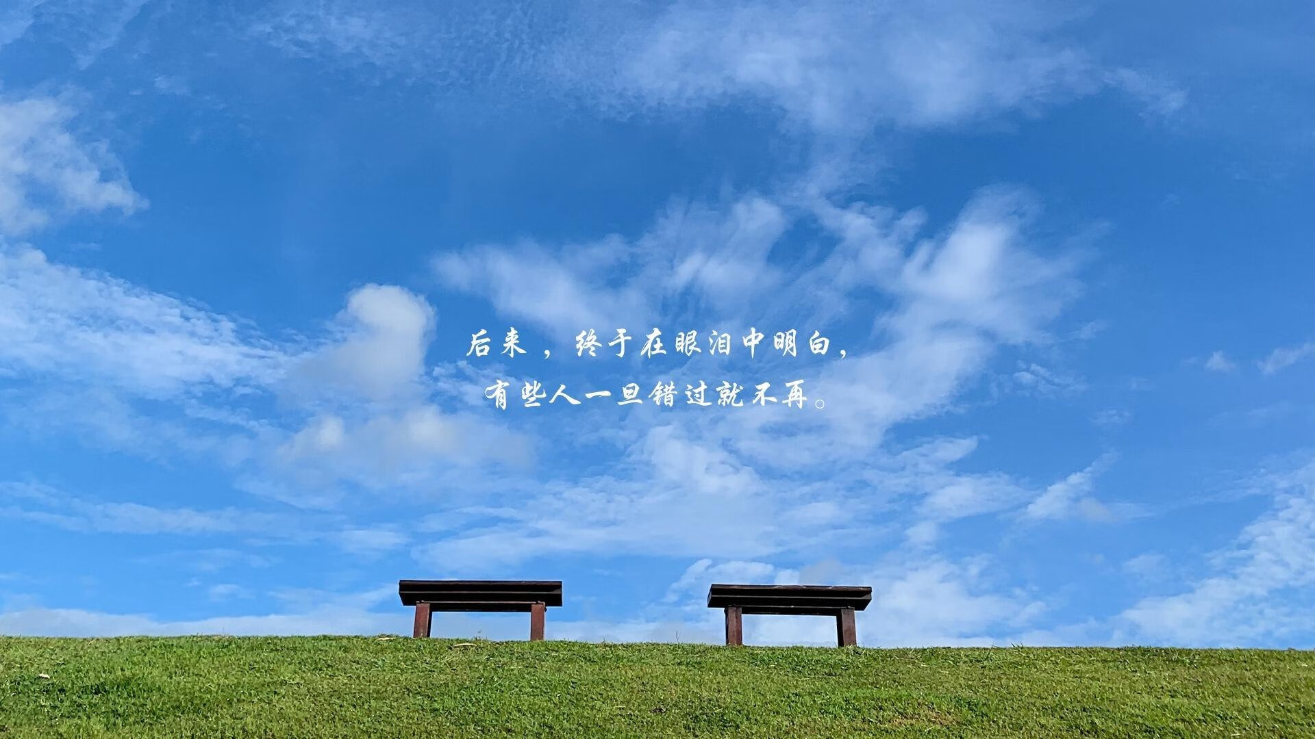 冰点与沸点,帕尔默的七分钟,改写欧冠历史的天才脉冲