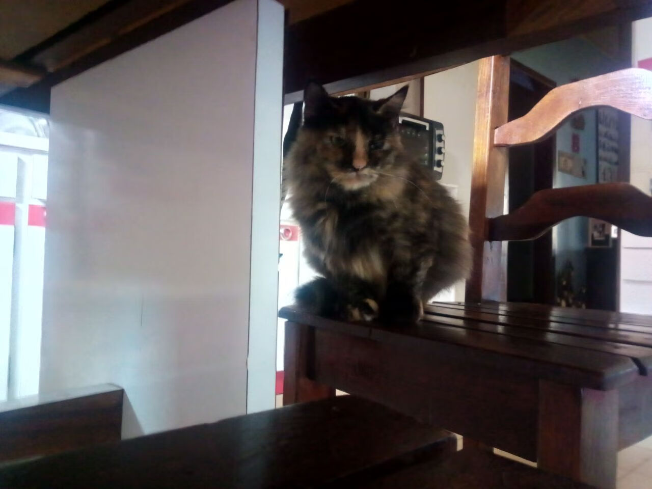 魔都结界与广厦之巅,当小贾伦在唯一时空中加冕硬仗之王