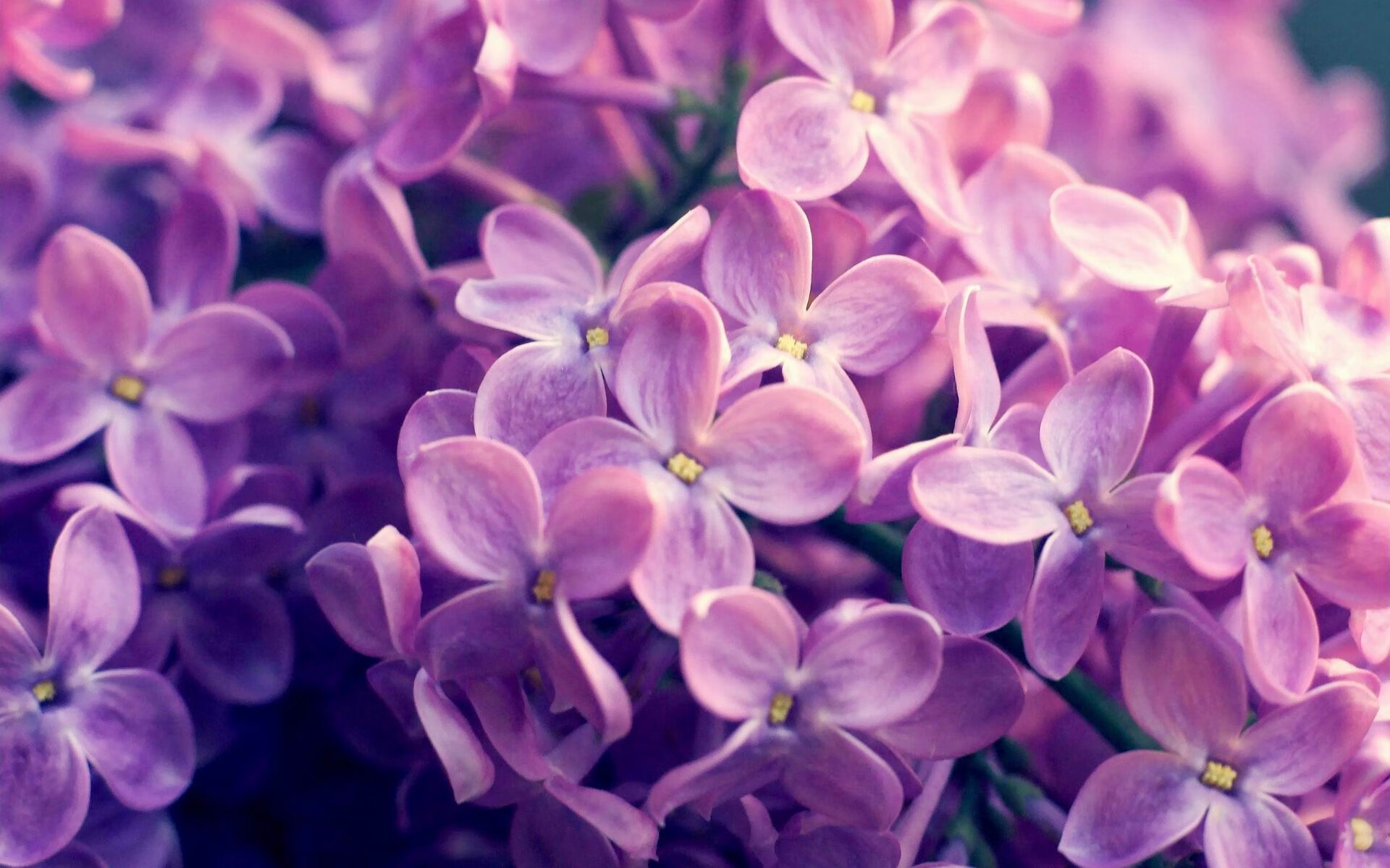 引擎嘶吼与加时绝杀，当F1街道赛的悬念在足球场上重演