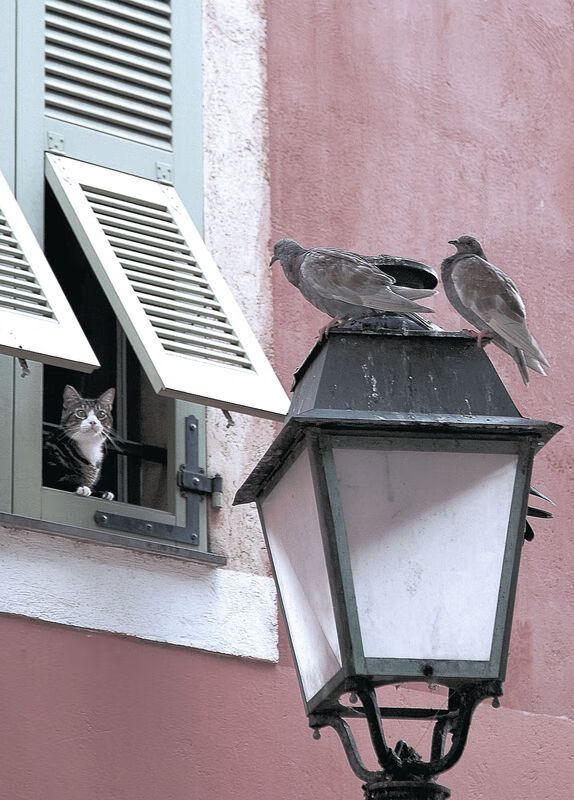 谁是班凯罗？从无人知晓到让勇士沉默的两分钟