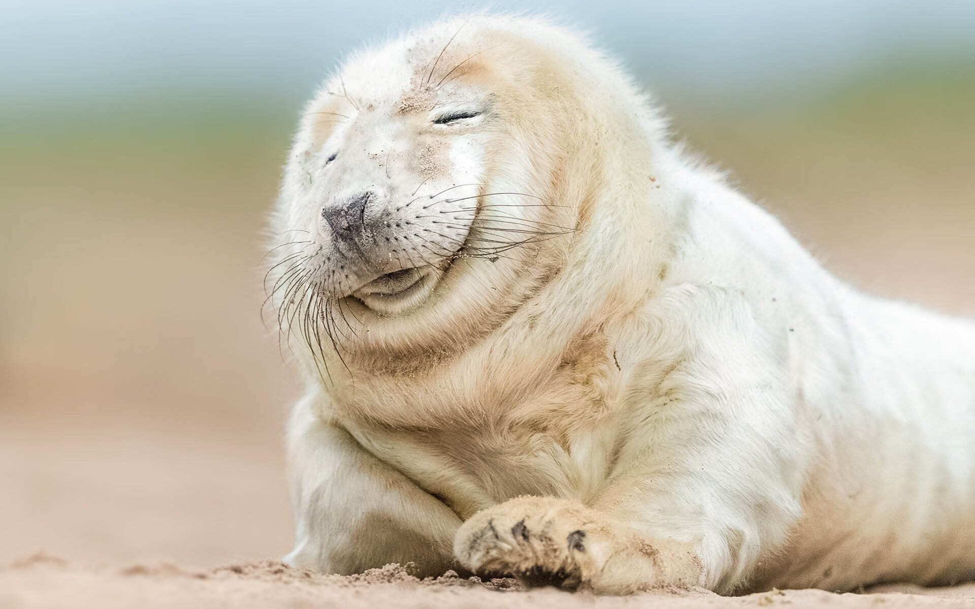 冰与火，当魔术青春风暴席卷森林狼，小贾伦化身无解进攻方程式