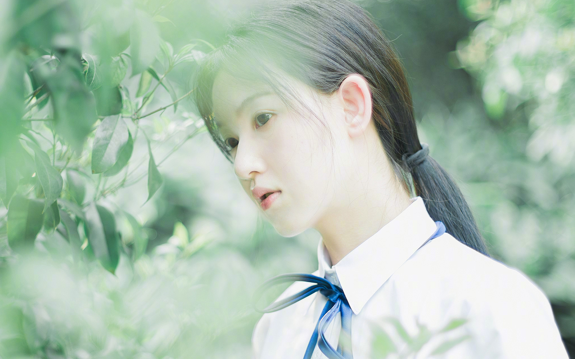 唯一性的答案，莫兰特1.2秒绝杀背后，灰熊如何用肌肉森林吞噬公牛