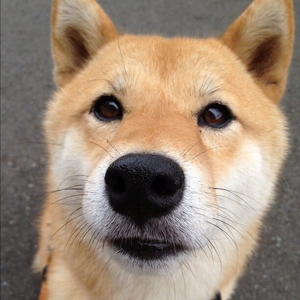 北欧寒刀斩碎蓝桥梦魇—姆巴佩致命三连击谱写瑞典胜利史诗