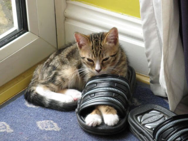 点燃与终结，足球赛场上的两种火焰