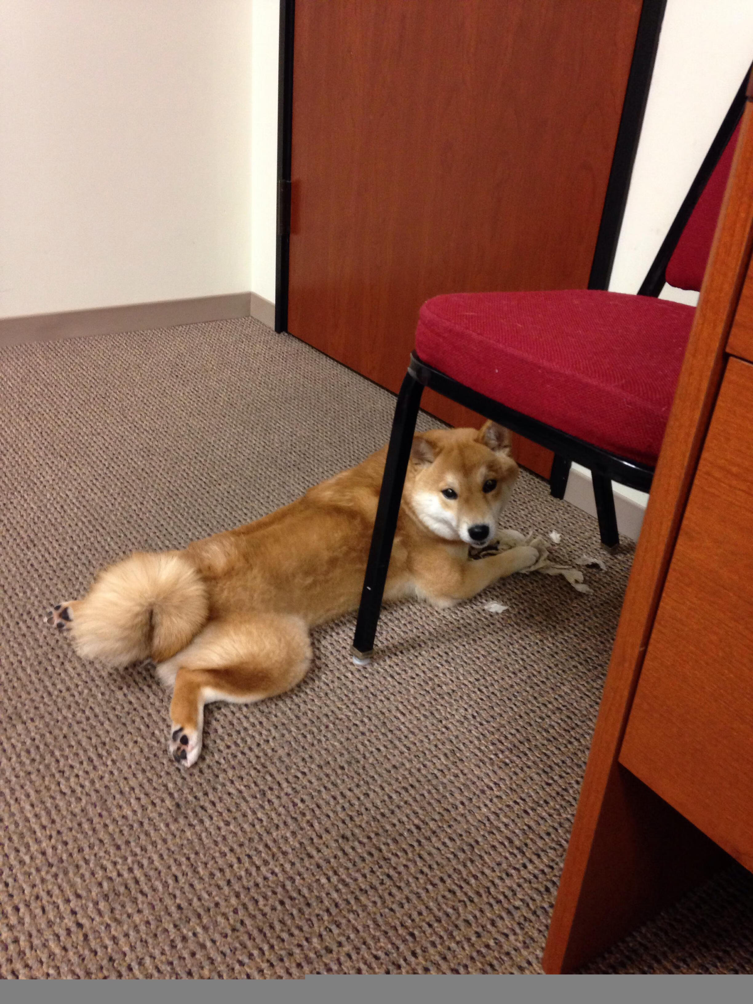 北境寒锋，加拿大决胜一击，巴萨欧冠之路戛然而止