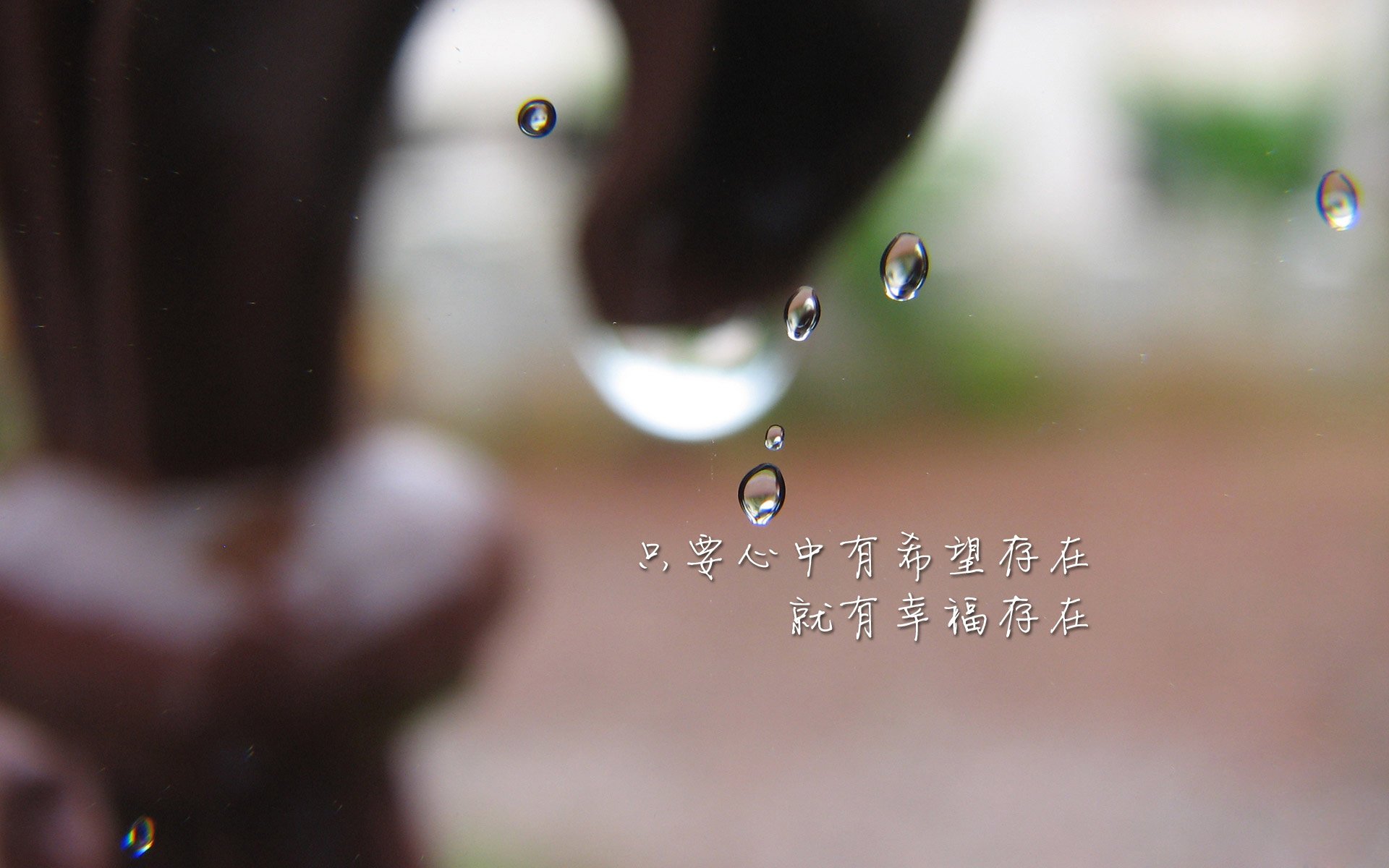 魔笛余音与东欧铁骑，布罗佐维奇导演2026世界杯C组最冷血一击，匈牙利横扫日本震惊足坛