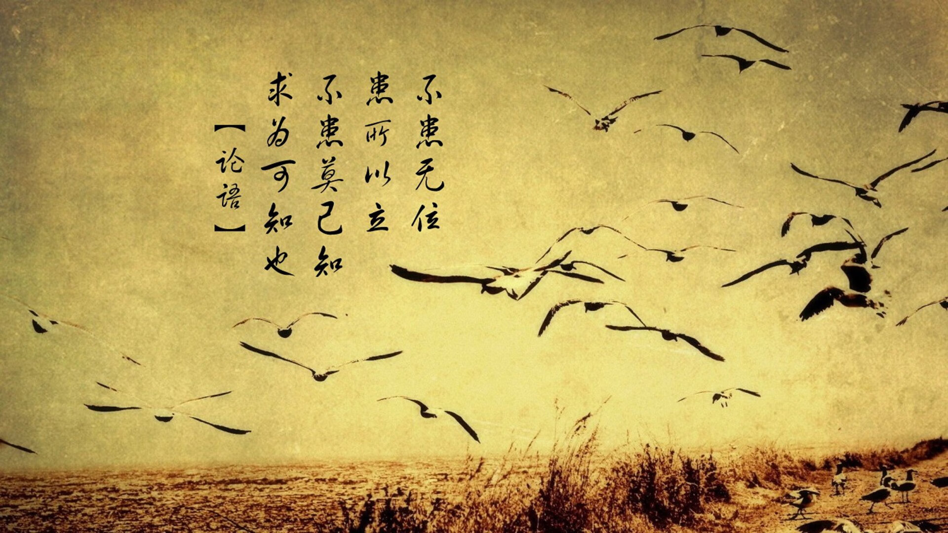 唯一性对决,当德意志战车碾过东瀛武士,库尔图瓦筑起不可逾越的铜墙铁壁