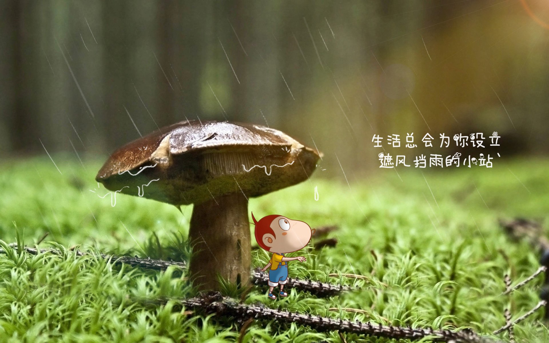 节奏之手,阿诺德如何用一己之力,在2026世界杯D组焦点战中导演葡萄牙逆转荷兰的史诗之夜