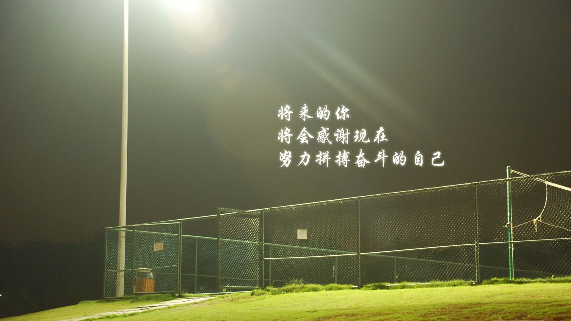 B组暗战，当安第斯雄鹰俯冲波斯铁骑，莱万用进球宣告世界杯新王序章